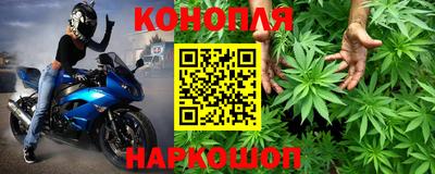 прущие грибы Славгород