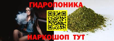 прущие грибы Славгород