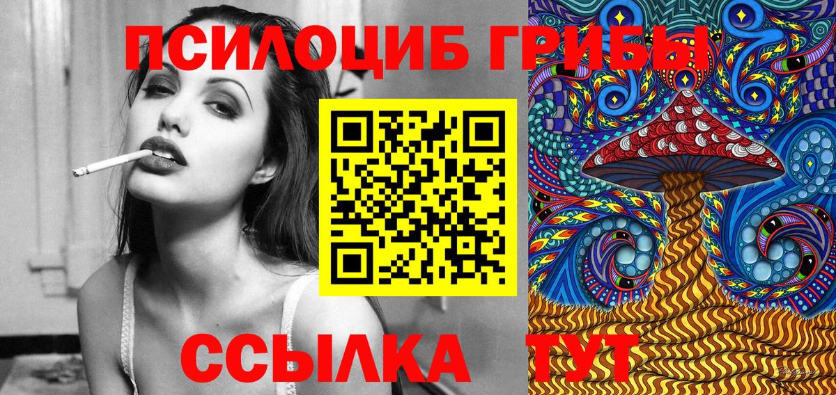Псилоцибиновые грибы Psilocybe Партизанск